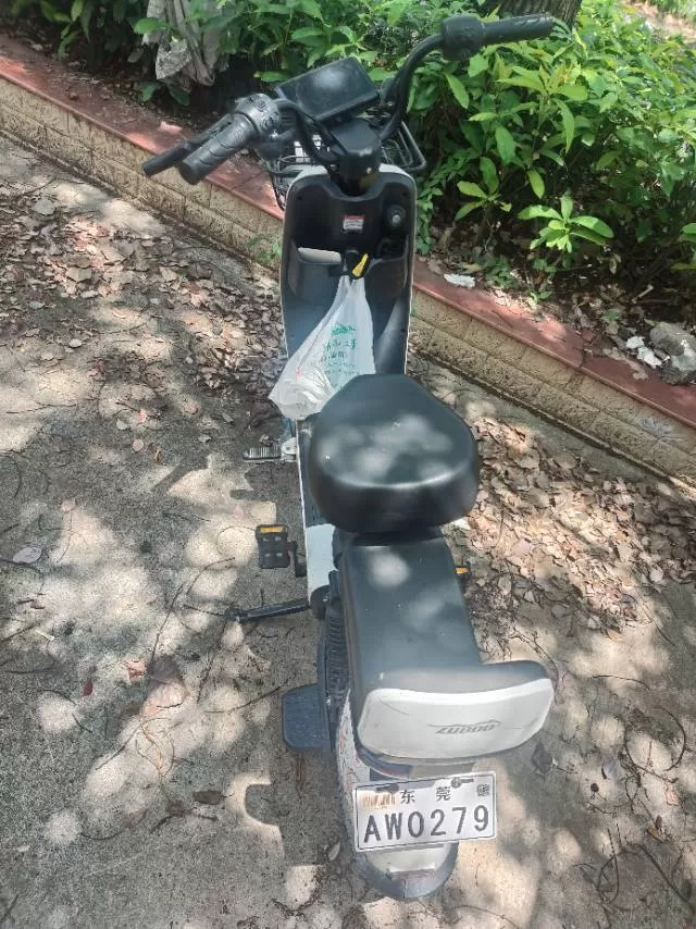 电动车，25年买入，可以跑40公里左右图片2