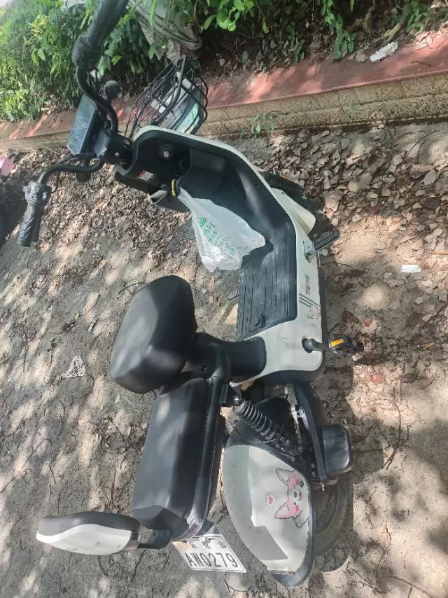 电动车，25年买入，可以跑40公里左右