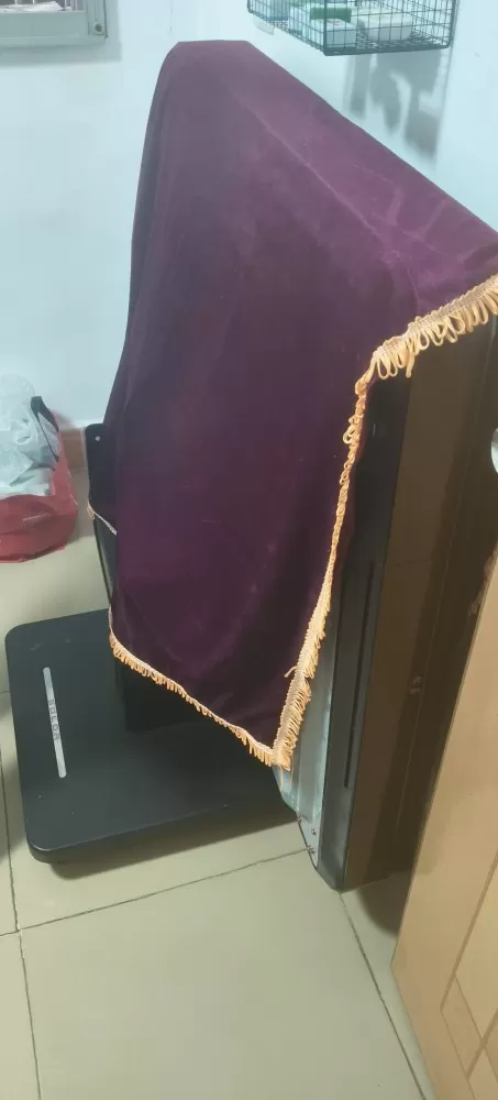 汪发布的动态配图2