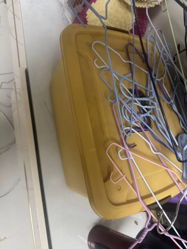 诺诺发布的动态配图2