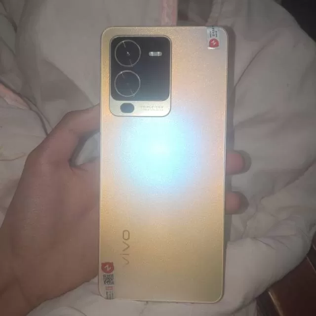 vivo手机12+256内存，成色很好