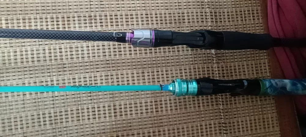 两个轮子，一个远投，一个微物，远投有轻微磕碰，微物磕碰比较严重一根威武杆，一根远…