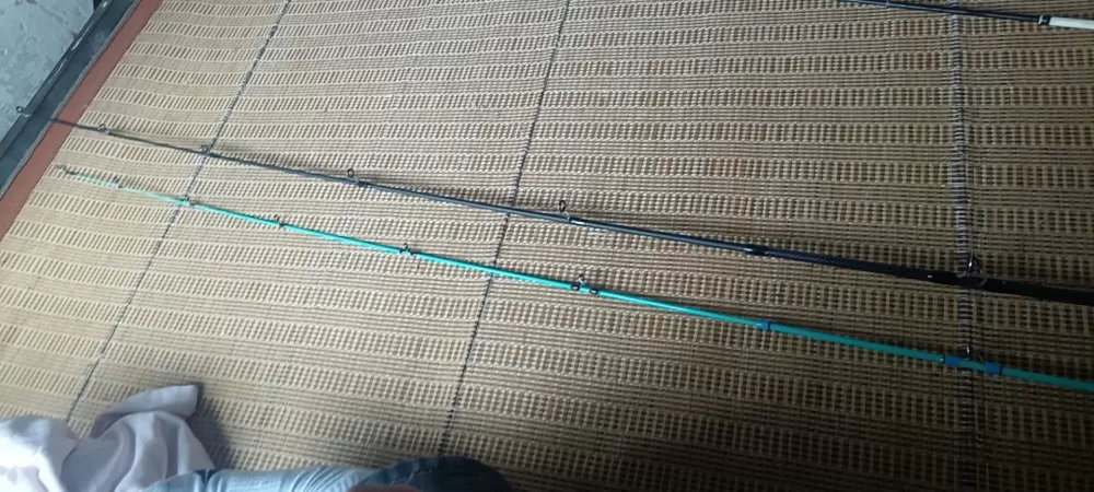 两个轮子，一个远投，一个微物，远投有轻微磕碰，微物磕碰比较严重一根威武杆，一根远…图片2
