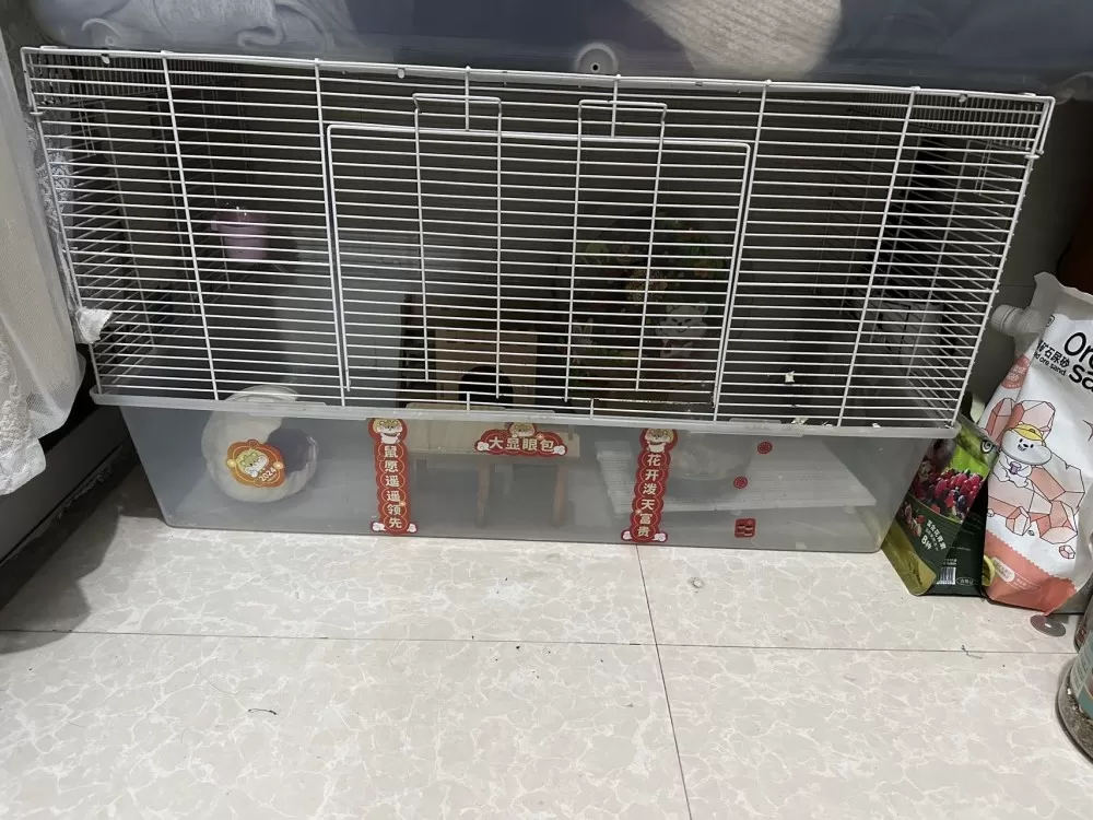 1发布的动态配图3