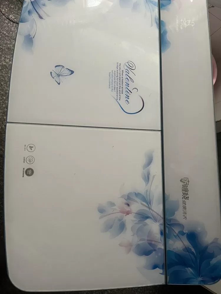 小鸭波轮半自动洗衣机八成新图片2