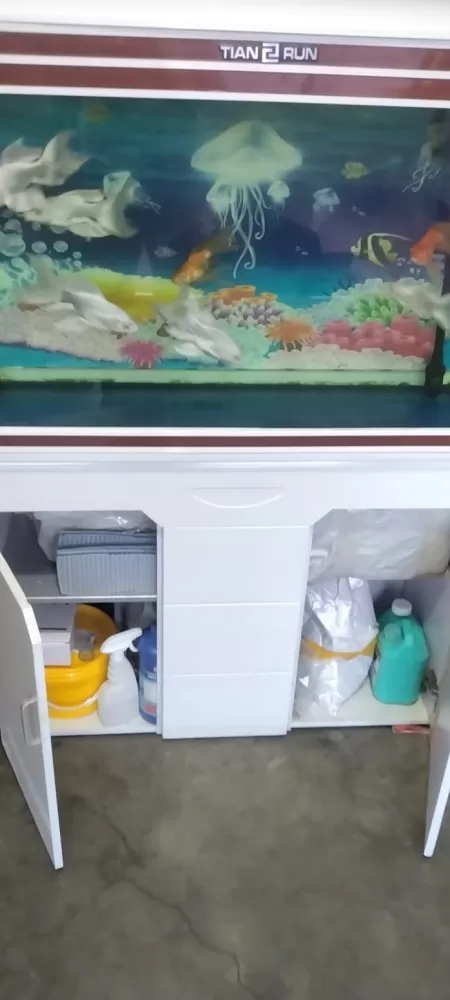 鱼缸和7条蝴蝶鲤，还有一些鱼食，过滤棉鱼的药。