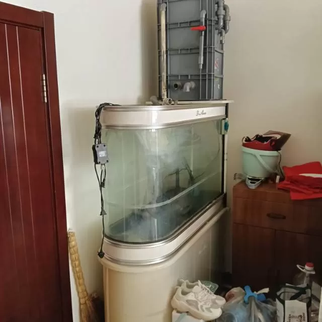 辉煌*^_^*人生发布的动态配图2