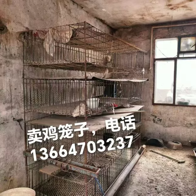 暖暖发布的动态配图3