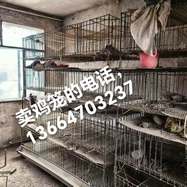 暖暖发布的动态配图2