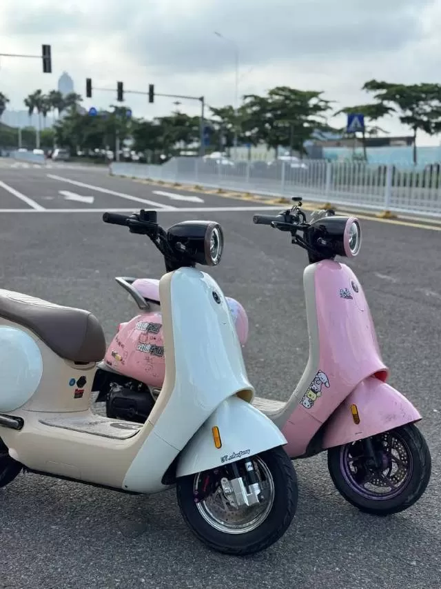 九号q85c米白色 成色99新改了前轮一套正品  后面爱得利小螃蟹