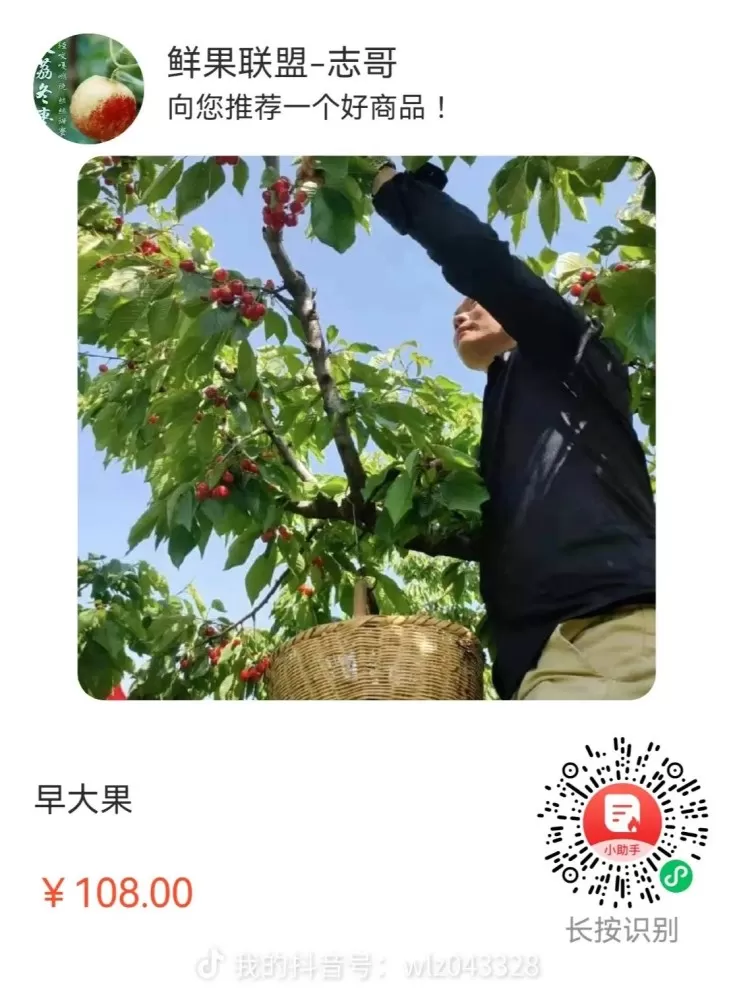 鲜果联盟-志哥发布的动态配图2