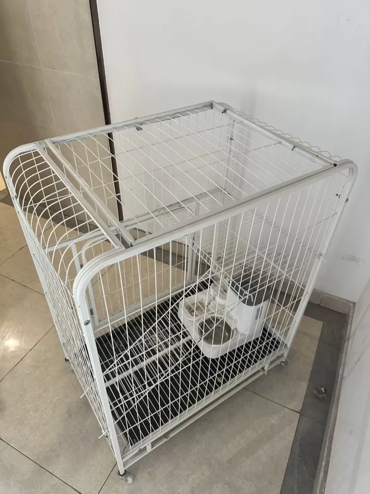 标题：家用大号猫笼 带轮带底盘 送喂食器 便宜出正文：闲置白色大号猫笼子，尺寸看…图片2