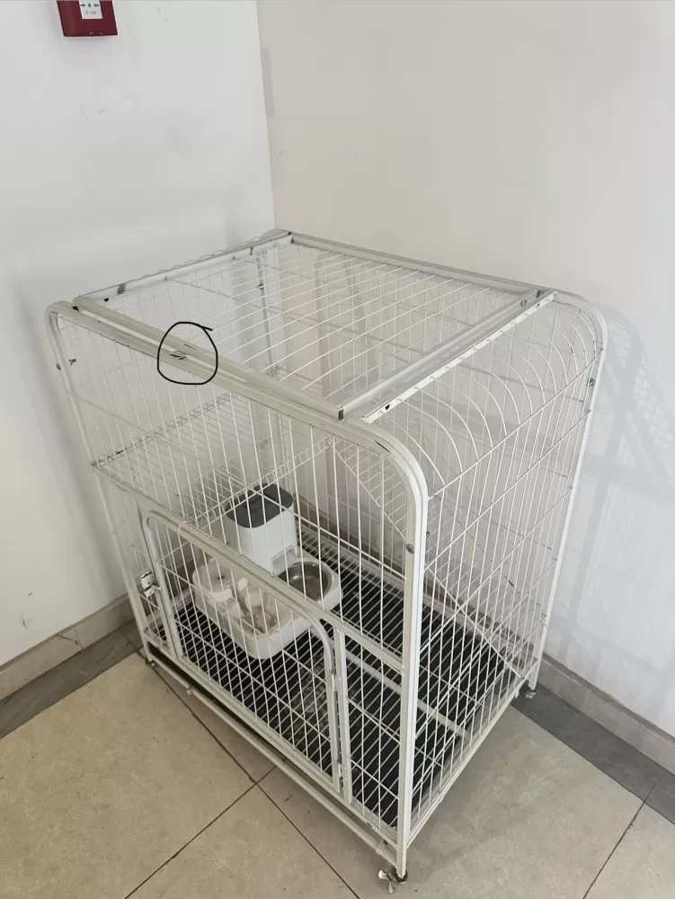 标题：家用大号猫笼 带轮带底盘 送喂食器 便宜出正文：闲置白色大号猫笼子，尺寸看…