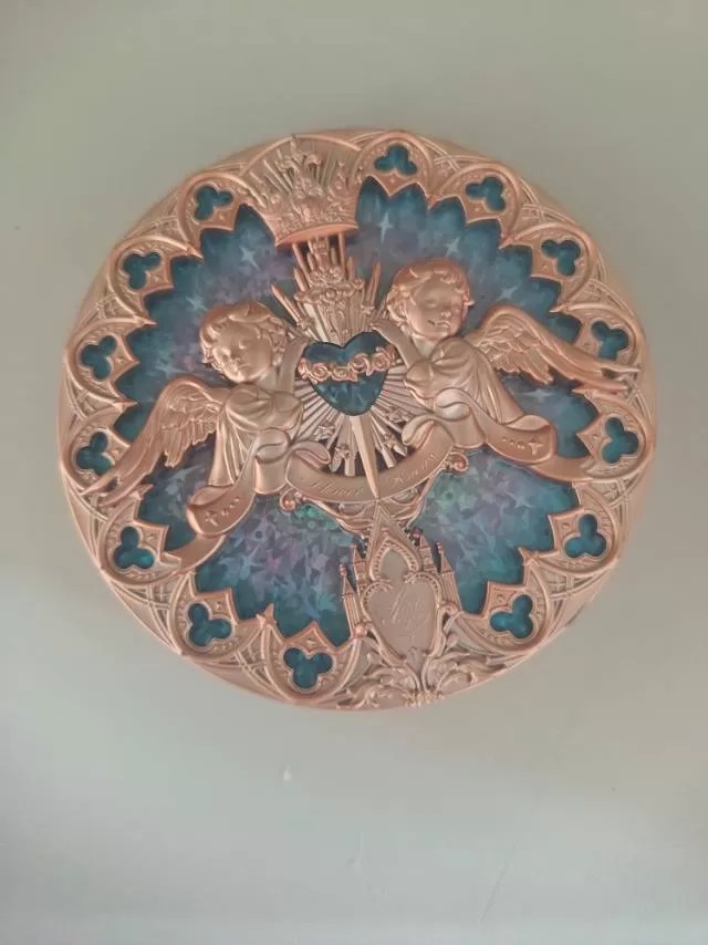 花知晓苍白花冠100%正品保质期到2028年距离近的包运费，距离远的需要自己付运…图片3