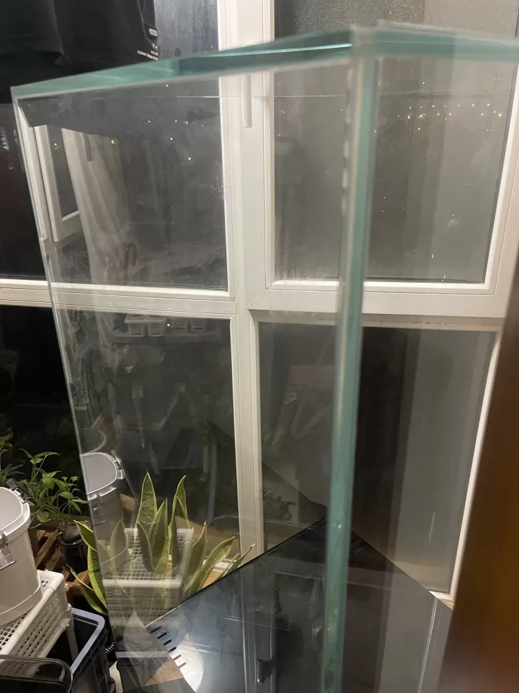 嘻嘻哈哈我靠发布的动态配图3