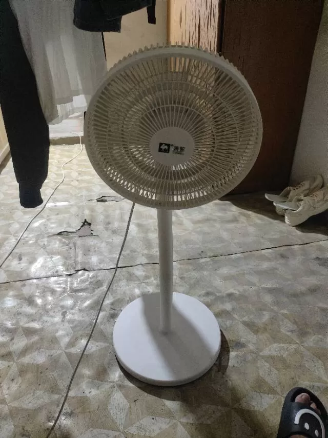 龙大大发布的动态配图4