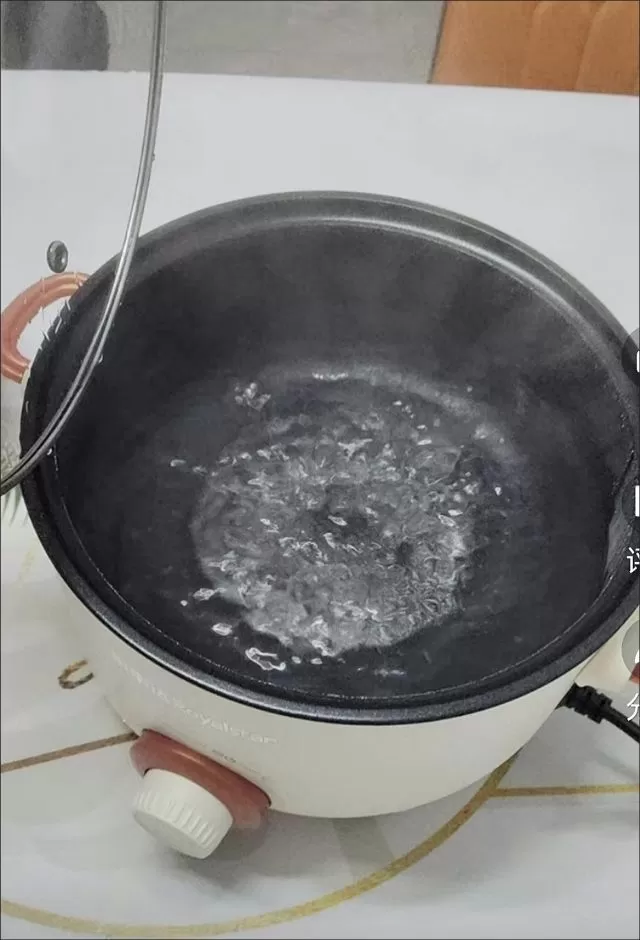 荣事达电煮锅多功能家用蒸煮一体电炒锅学生宿舍煮面小电锅电火锅图片4