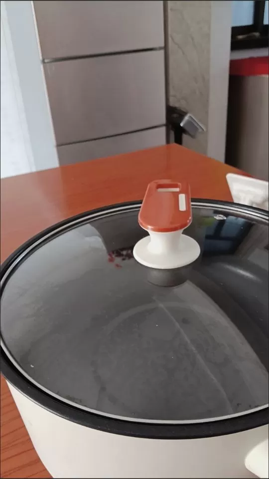 荣事达电煮锅多功能家用蒸煮一体电炒锅学生宿舍煮面小电锅电火锅图片5
