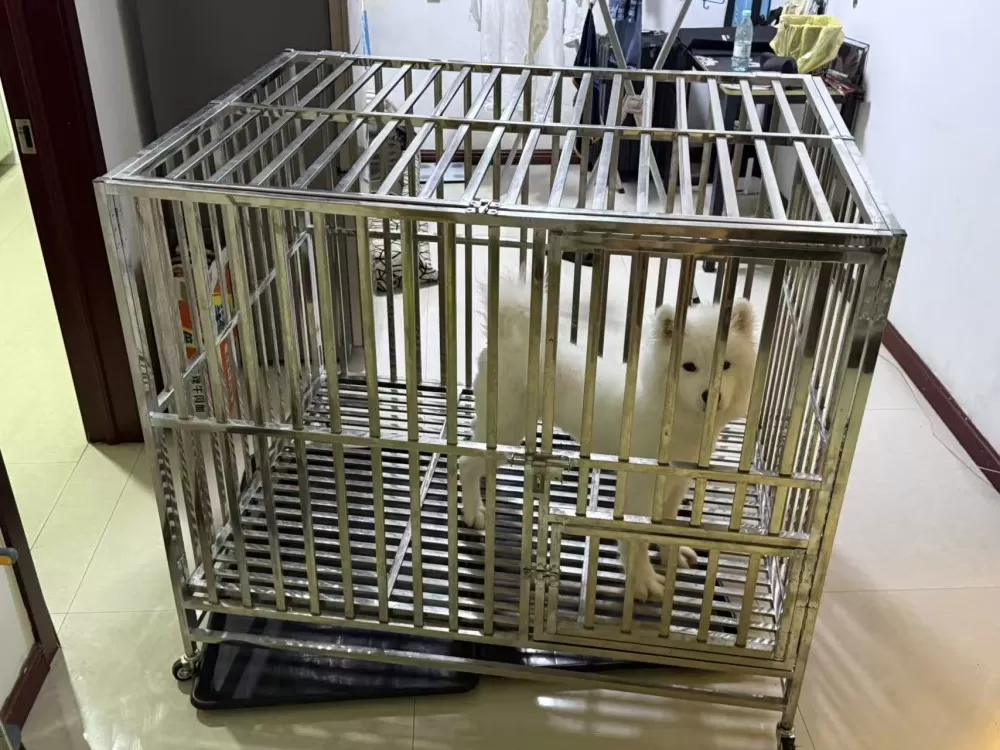 加厚白钢狗笼子，结实耐用，带轮子，移动很方便。适合中大型犬，底部有蓝色塑料地板，…