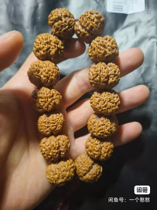 刚菩提手串龙牙梅花一串，14颗，珠子尺寸22➕，个别可到22大➕正红皮，纹路深，…