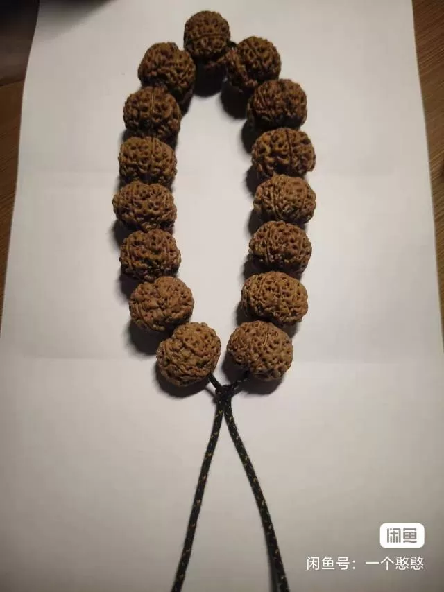 文玩大金刚皇冠二代梅花，正五星梅花15颗，大小21mm➕，个别可卡到22mm颗颗…