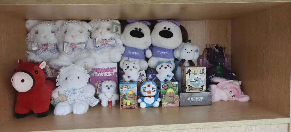 精品店娃娃喜欢的来图片3