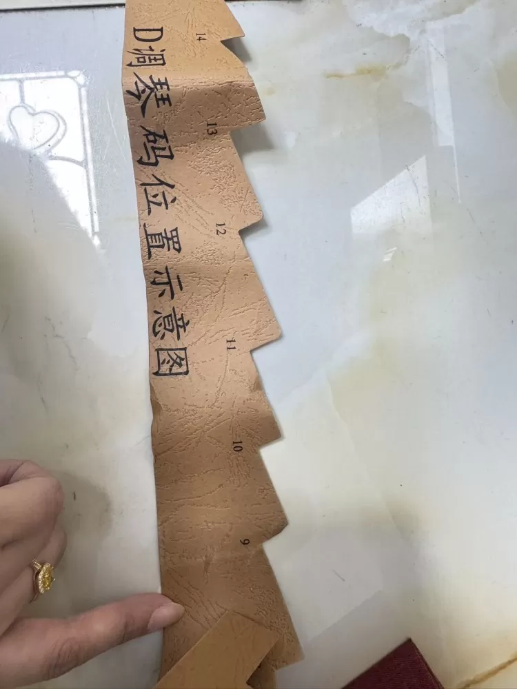 天鸽发布的动态配图2