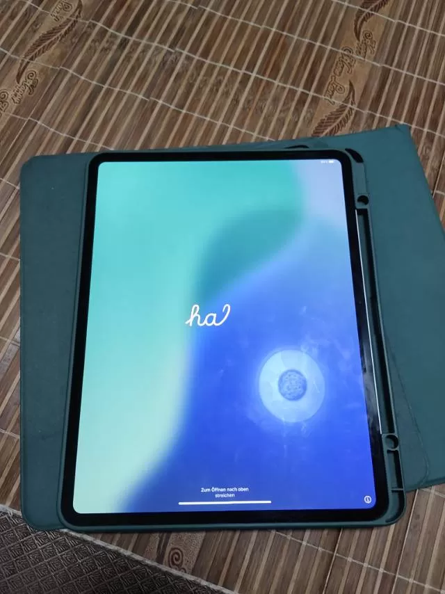 自用 ipad pro m4 13寸，256内存，wifi版，美版，无拆修，电池…