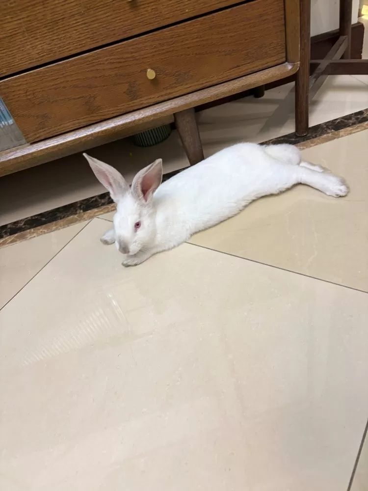 DYY发布的动态配图3