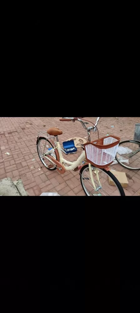 26寸永久牌自行车，扎实可载人，240出