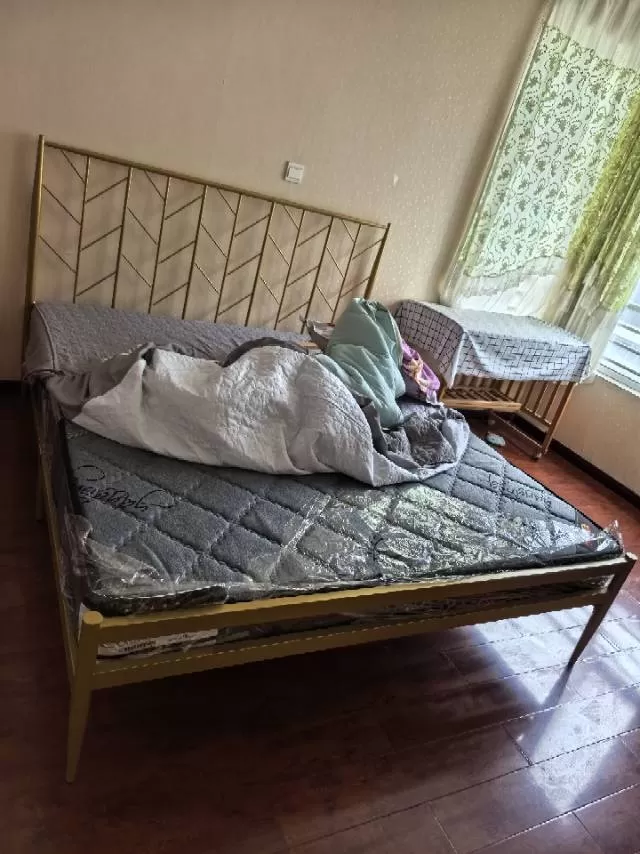 铁艺床，床头树叉，内螺丝高端款，原价950，现价550，有三张，一张1米8*2米…图片4