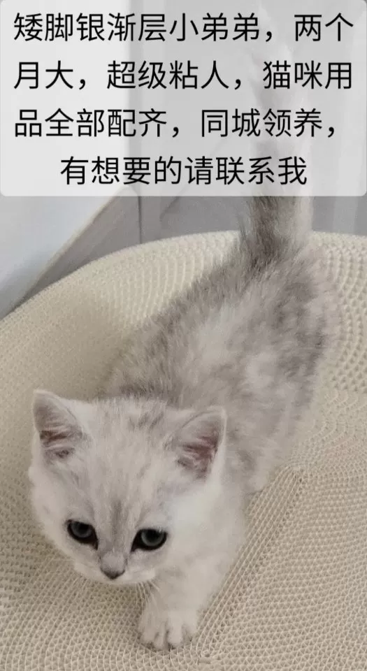 淡淡檬香发布的动态配图2