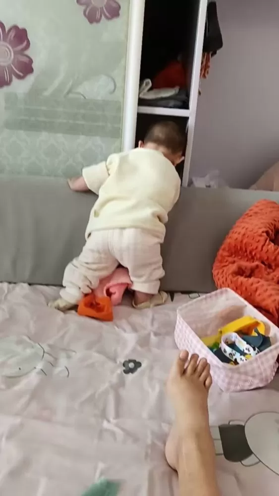 山西未拆封金领冠珍护2段