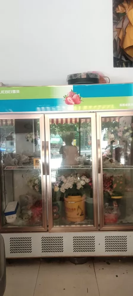 三门保鲜柜，三年，正常使用，没有损坏，在蒙自，自提，可小刀