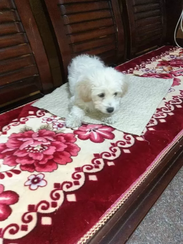 孩子上学没人喂了图片2