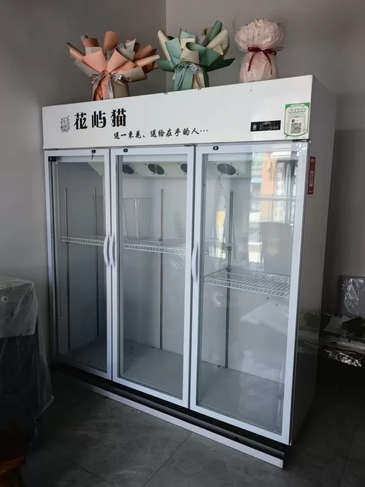 9成新的冰柜、保鲜柜、