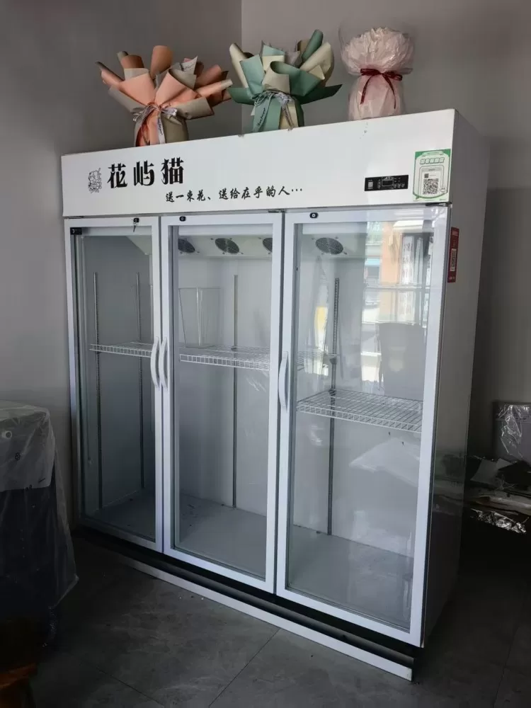 9成新的冰柜、保鲜柜、图片2