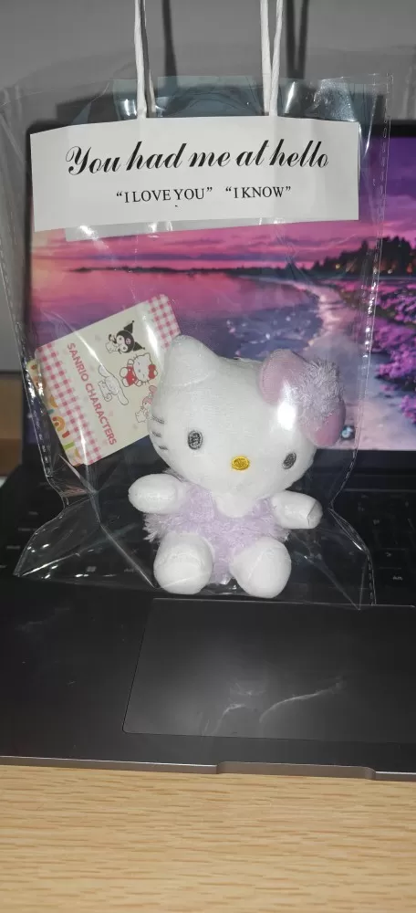 正版授权kt猫