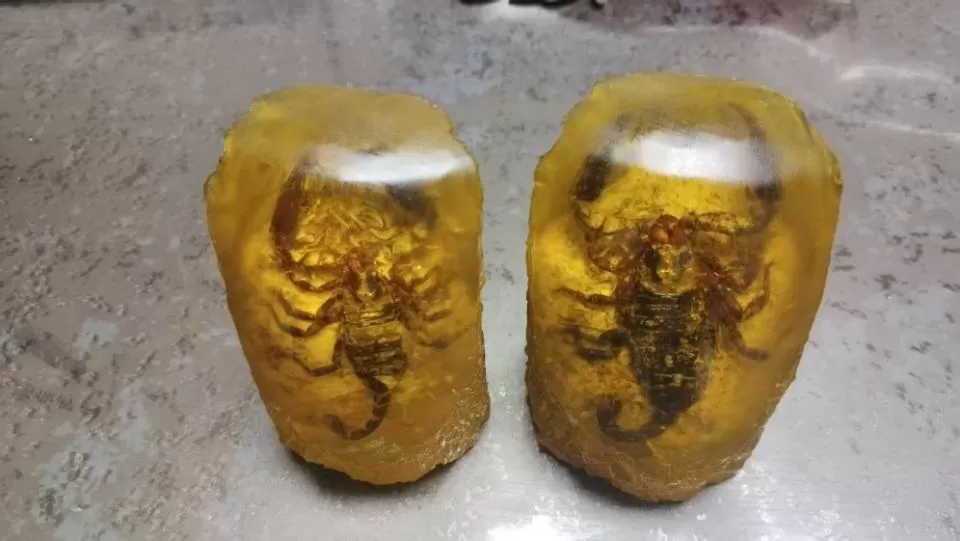 一对蝎子琥珀摆件，虫体完整清晰，蝎子纹路完整通透，色泽温润金黄，原石质感，造型别…