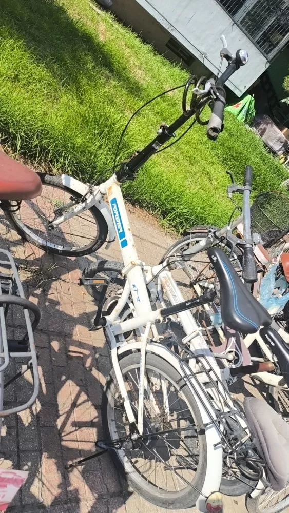 二手永久牌自行车 骑了不到两年，保证质量