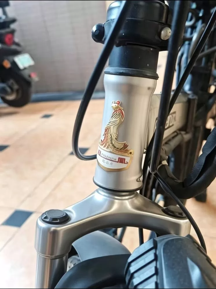 折叠电动车，配件全送，再送一个电池（两个电池），48V锂电池，动力正常，刹车灵敏…图片5