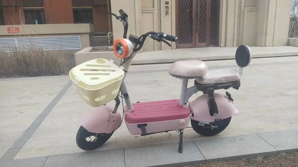 电动车图片4