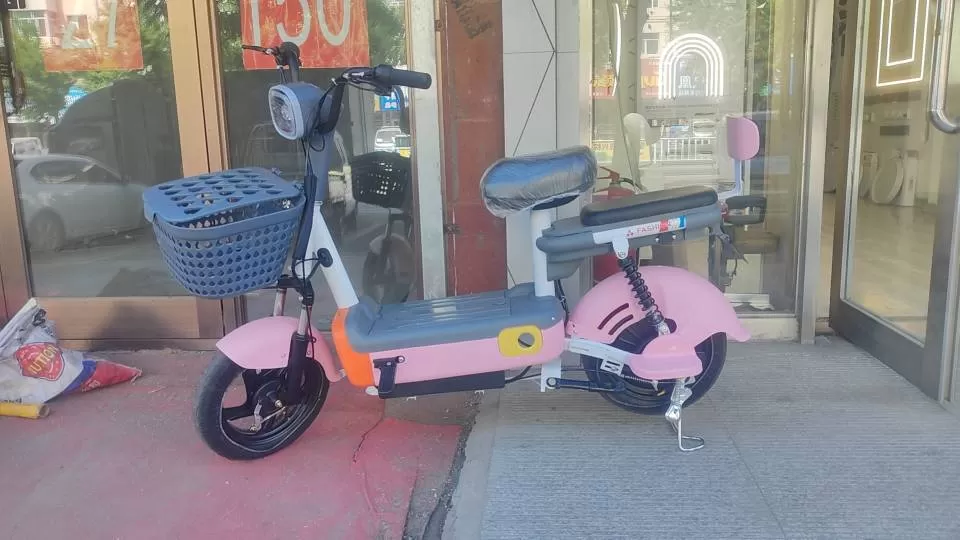 电动车图片3