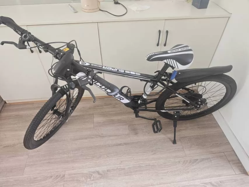 九成新自行车300.全新玄关画300·全新饮水机100