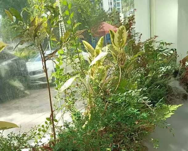 七个园子发布的动态配图2