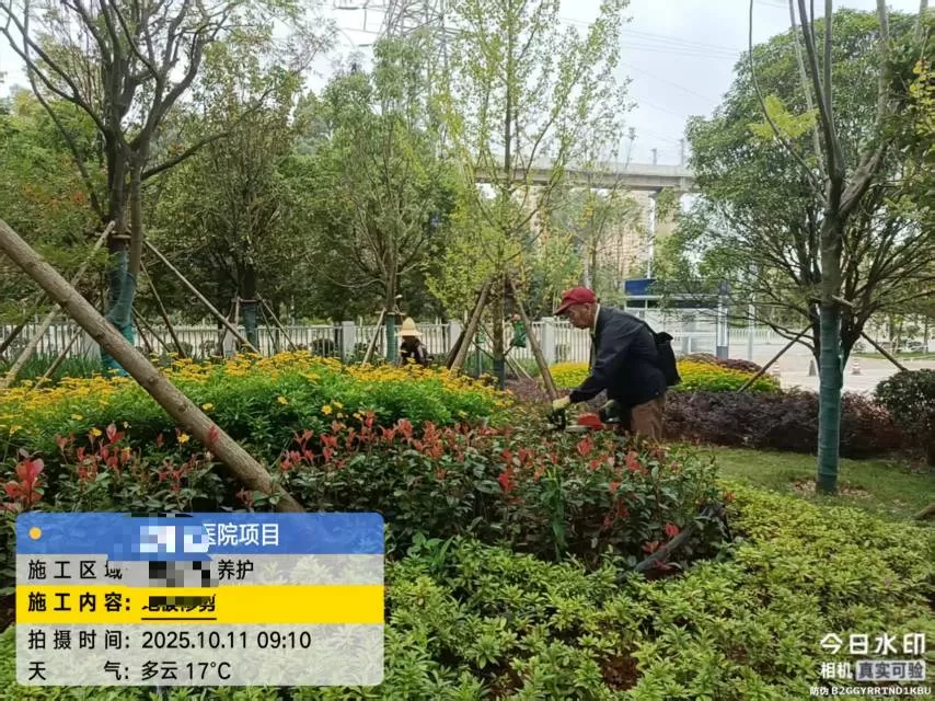 七个园子发布的动态配图4