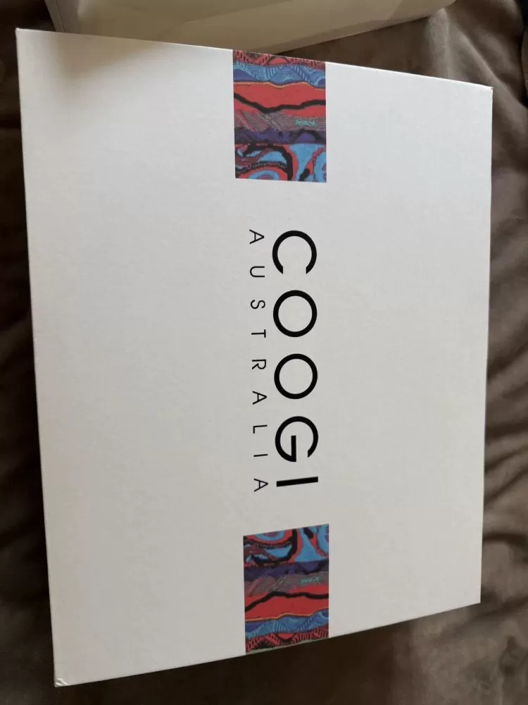 COOGI 米白色经典老花通勤包包  全新 礼盒布袋