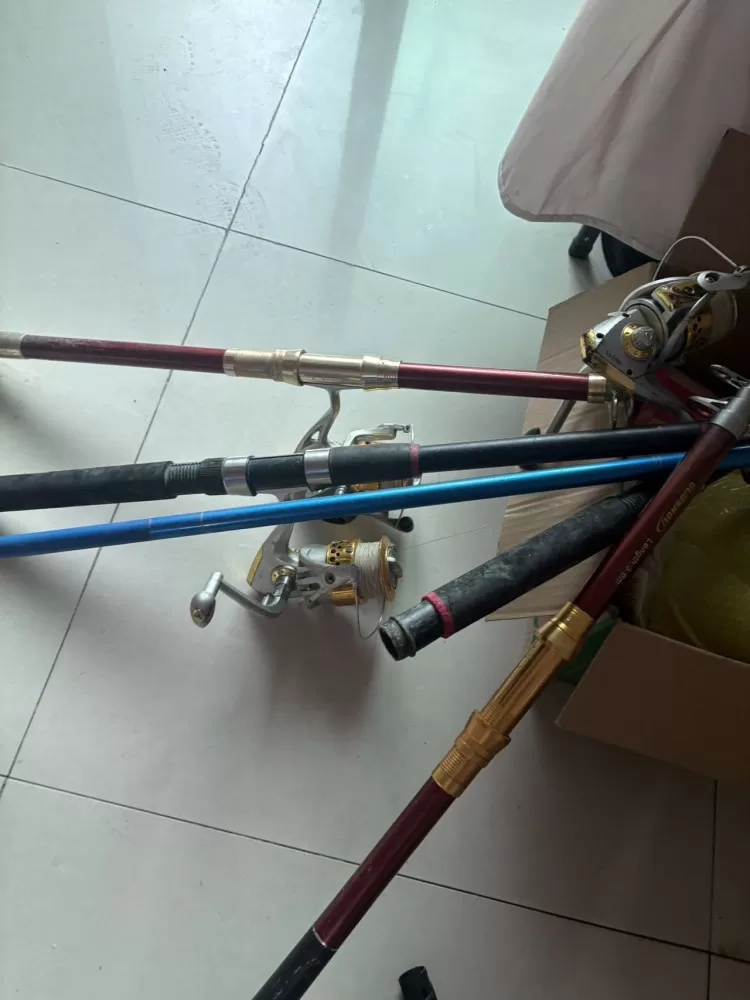 佳发布的动态配图4