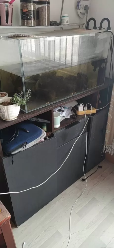 鱼缸及桌子整套卖，无?图片3