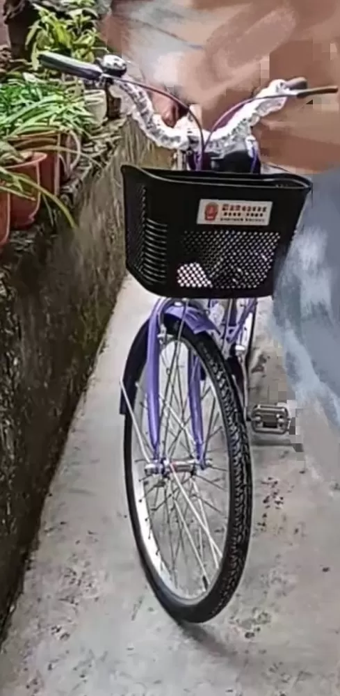 老式凤凰紫色女自行车，有配备钥匙款的锁，带筐带和后座，能骑，金属有锈，单侧刹车损…